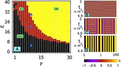 Filtering Suppresses Amplitude Chimeras